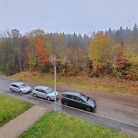 2 Rooms Apartment In Triberg Triberg im Schwarzwald Kültér fotó
