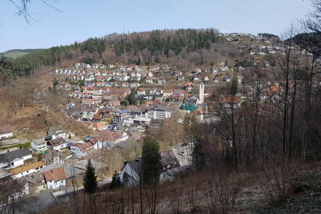 2 Rooms Apartment In Triberg Triberg im Schwarzwald Kültér fotó