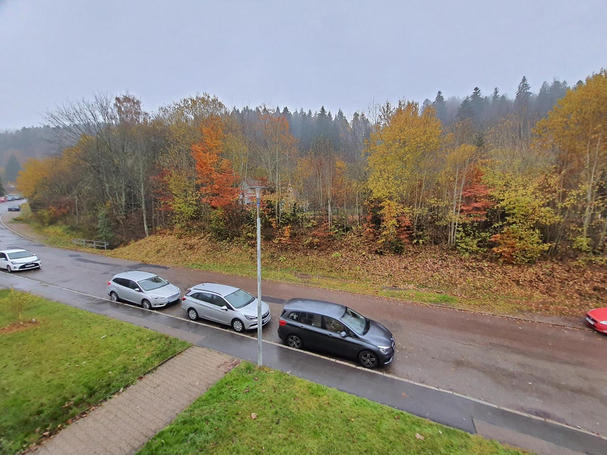 2 Rooms Apartment In Triberg Triberg im Schwarzwald Kültér fotó